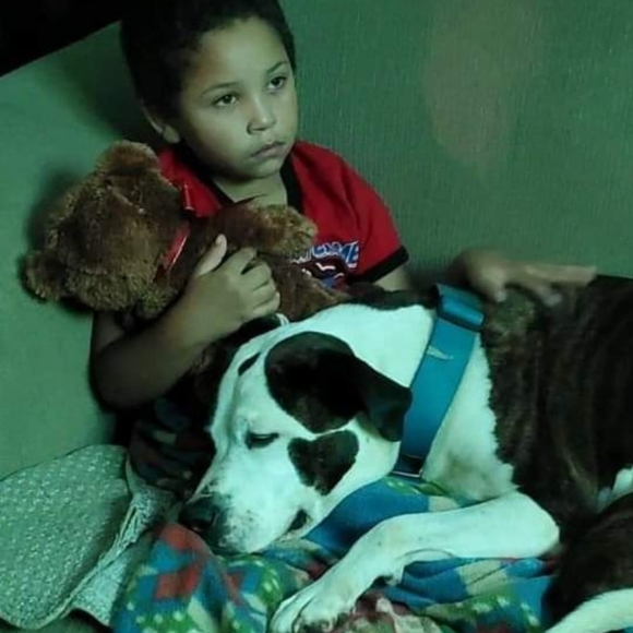 Meet your Posher, Brad - Picture 1 of 1